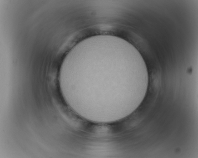 X0000113940698200910161915