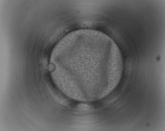 X0000113940699200910161915