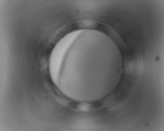X0000113940701200910161915