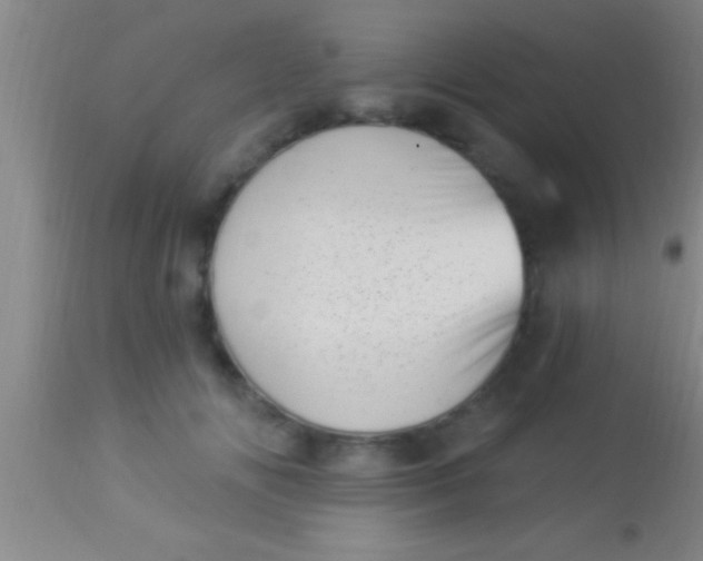 X0000113940702200910161915