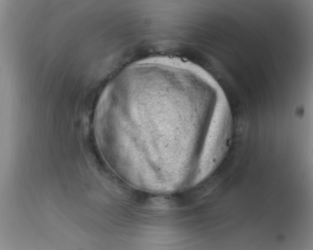 X0000113940703200910161915