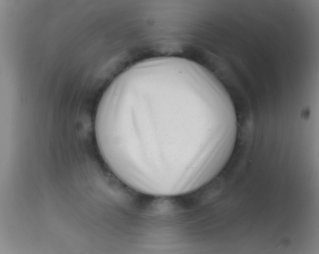 X0000113940704200910161915