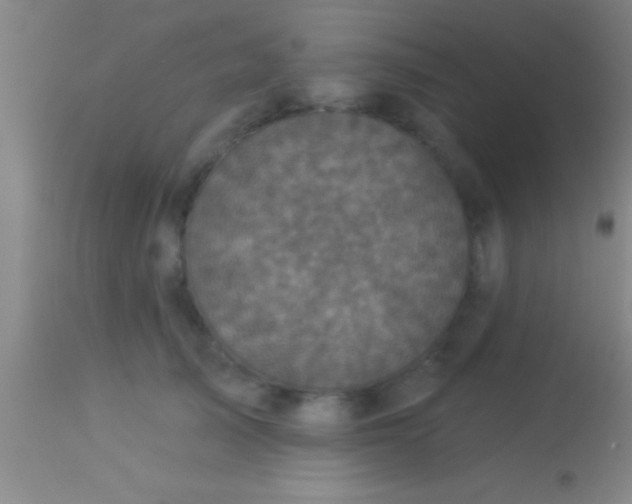 X0000113940705200910161915