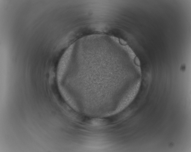 X0000113940707200910161915