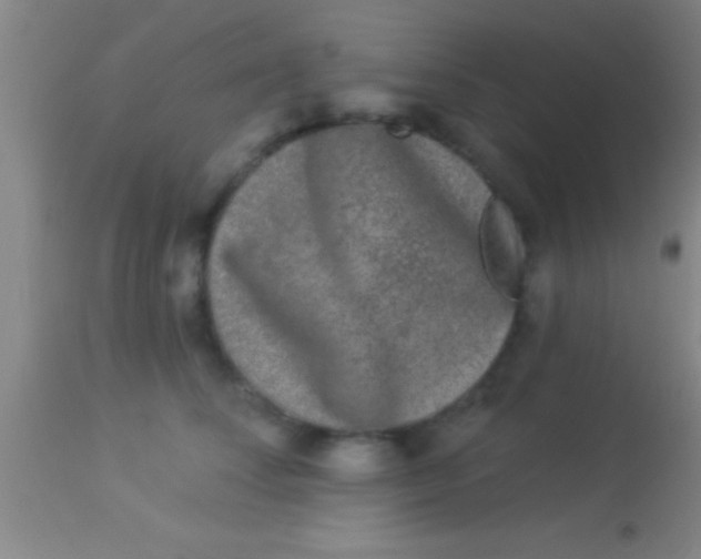X0000113940708200910161915
