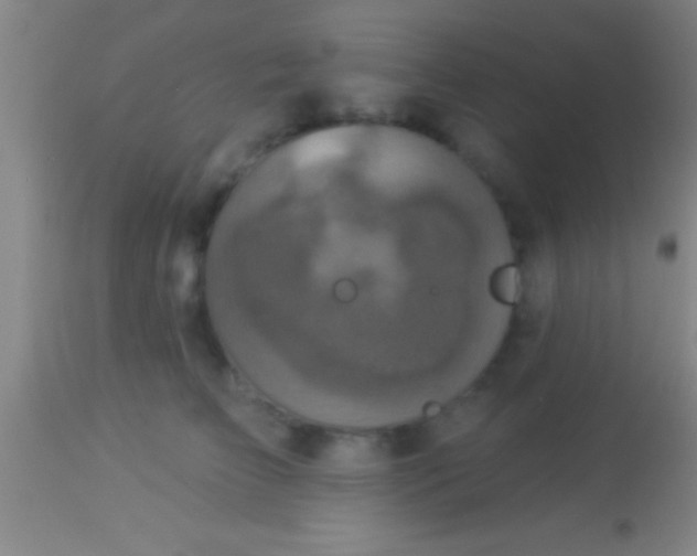 X0000113940709200910161915