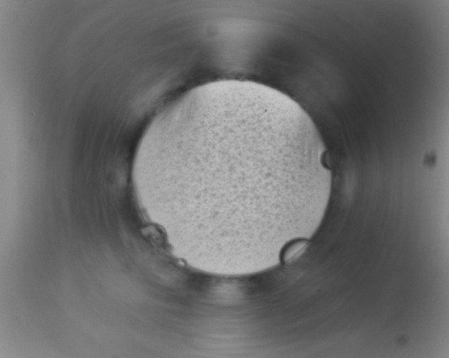 X0000113940710200910161915