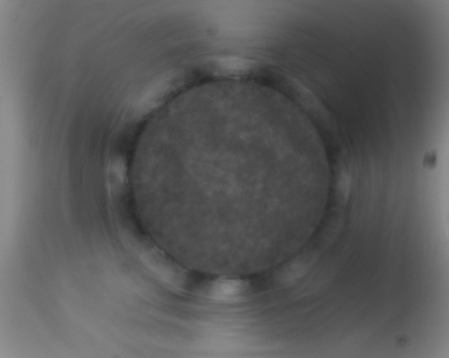 X0000113940711200910161915