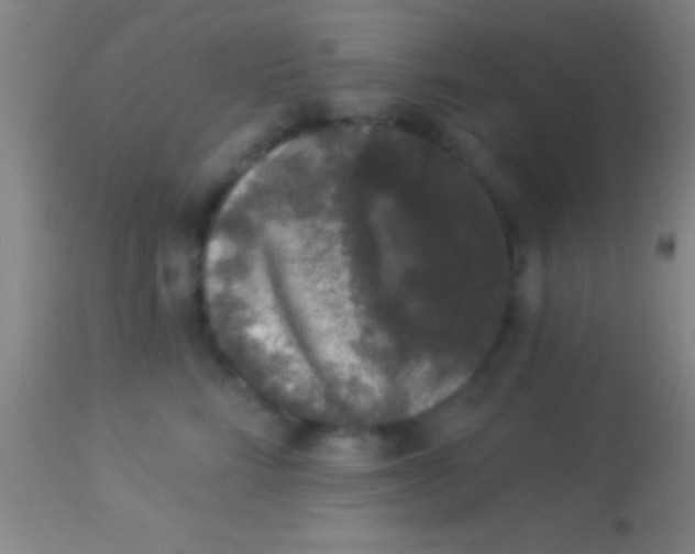 X0000113940712200910161915