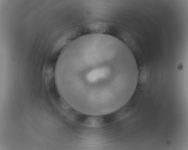 X0000113940713200910161915
