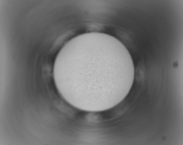 X0000113940714200910161915