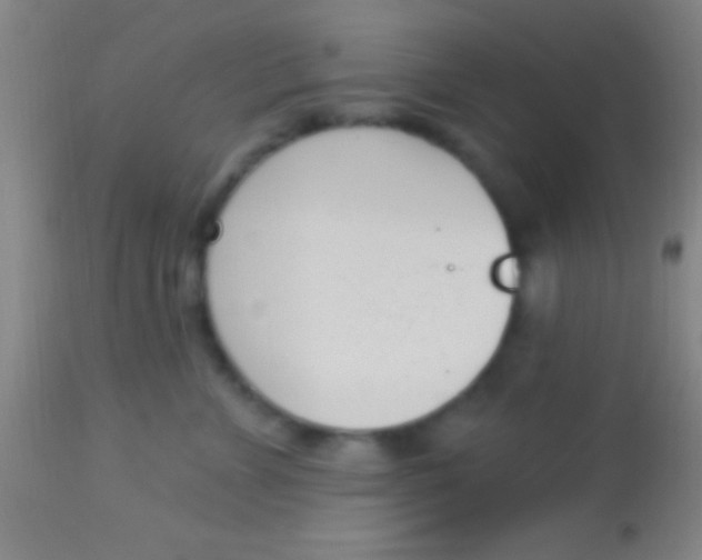 X0000113940715200910161915