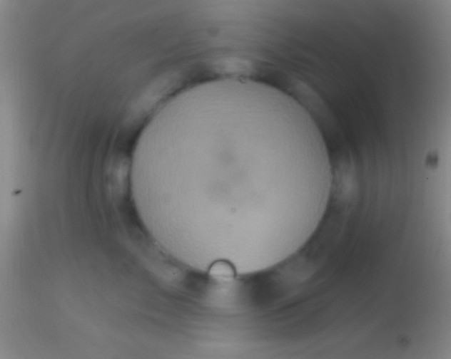 X0000113940717200910161915