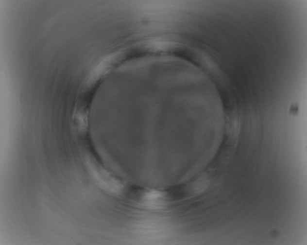 X0000113940718200910161915