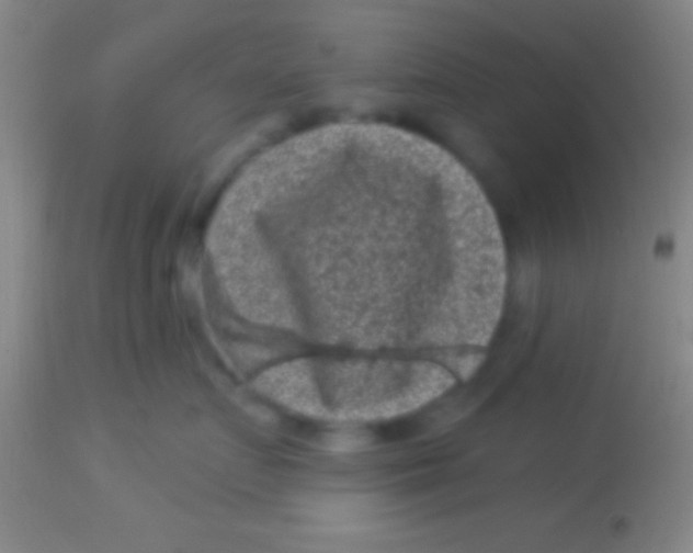 X0000113940719200910161915