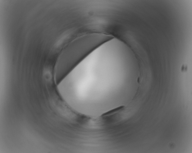X0000113940720200910161915