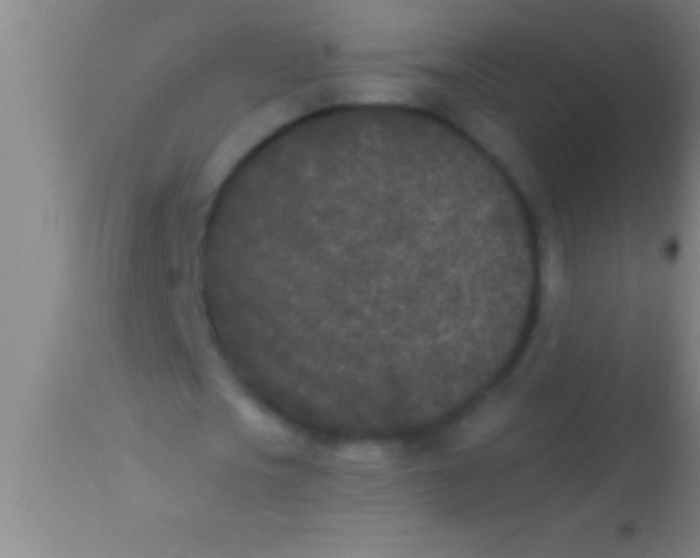 X0000113940721200910161914