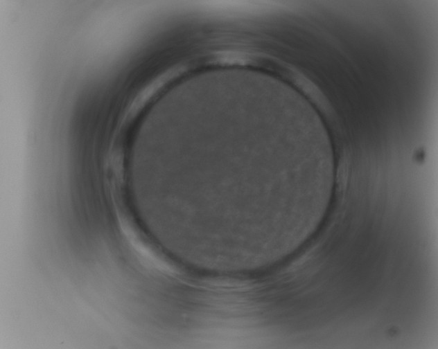 X0000113940722200910161914