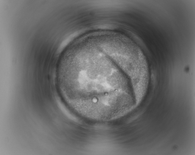 X0000113940725200910161914