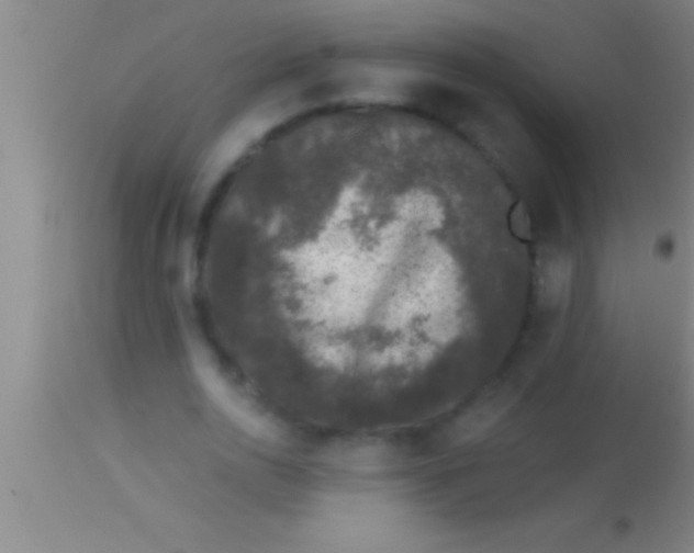 X0000113940726200910161914