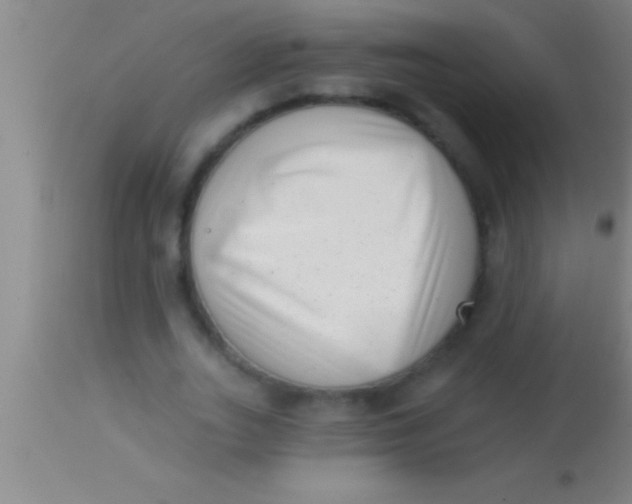 X0000113940727200910161914