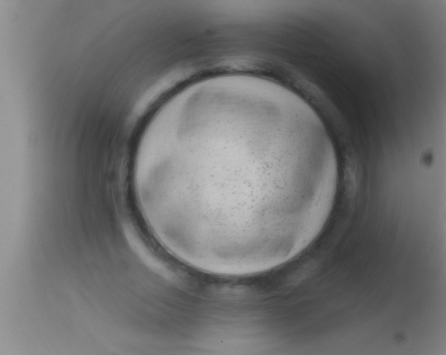 X0000113940730200910161914
