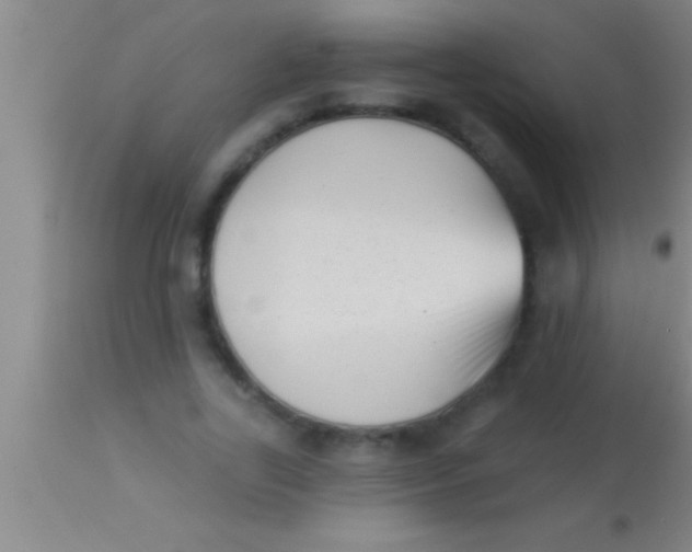 X0000113940731200910161914