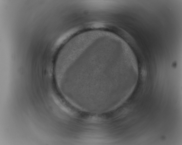 X0000113940732200910161914