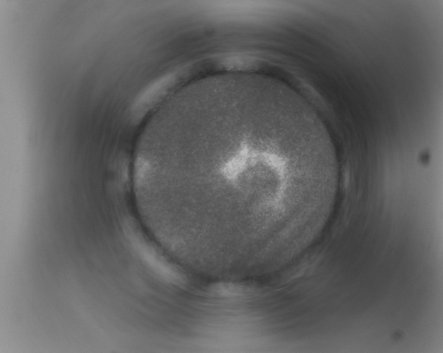 X0000113940733200910161914
