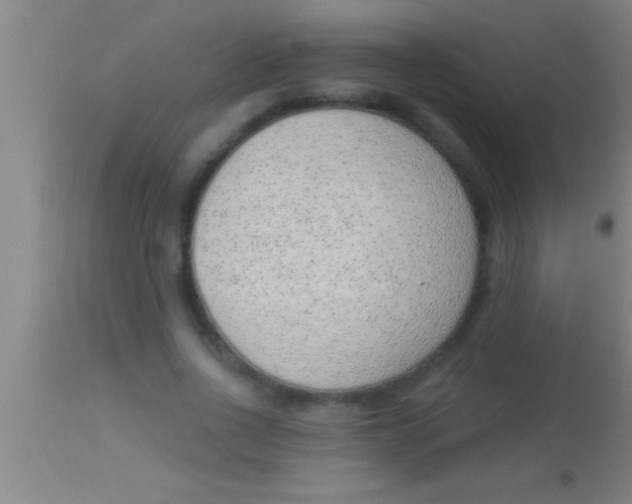 X0000113940734200910161914