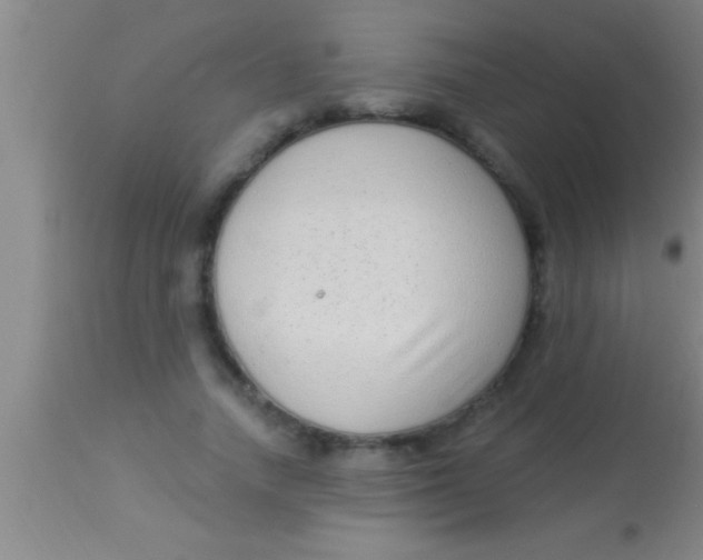 X0000113940738200910161914
