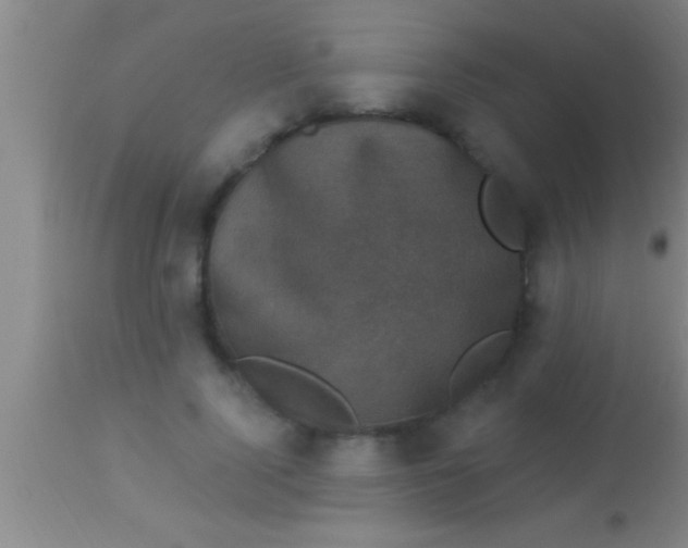 X0000113940740200910161914