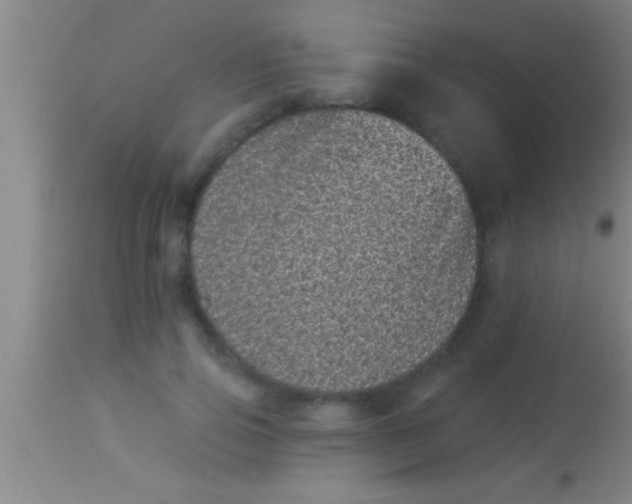 X0000113940741200910161914