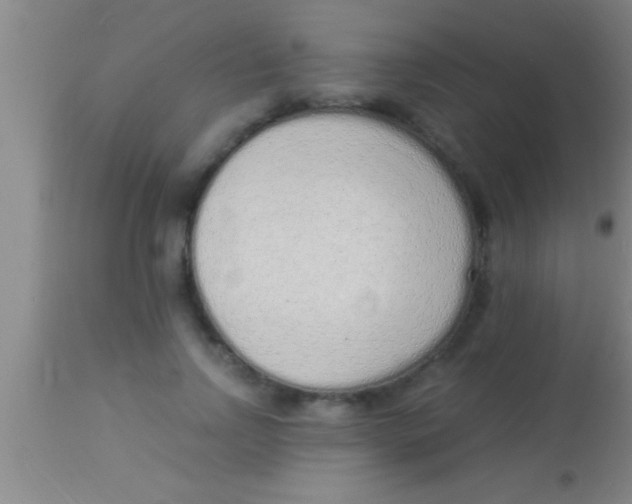 X0000113940742200910161914