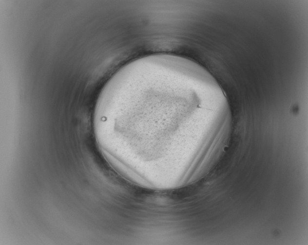 X0000113940743200910161914