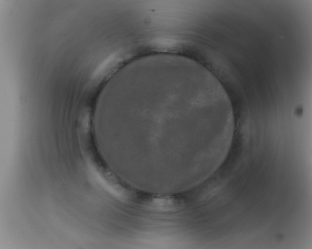 X0000113940744200910161914