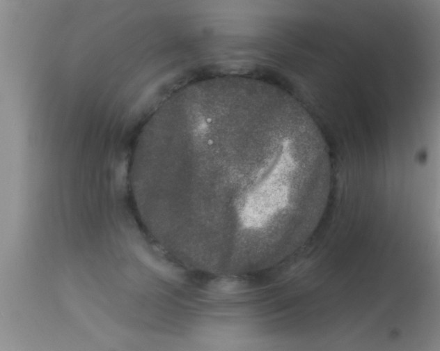X0000113940745200910161914