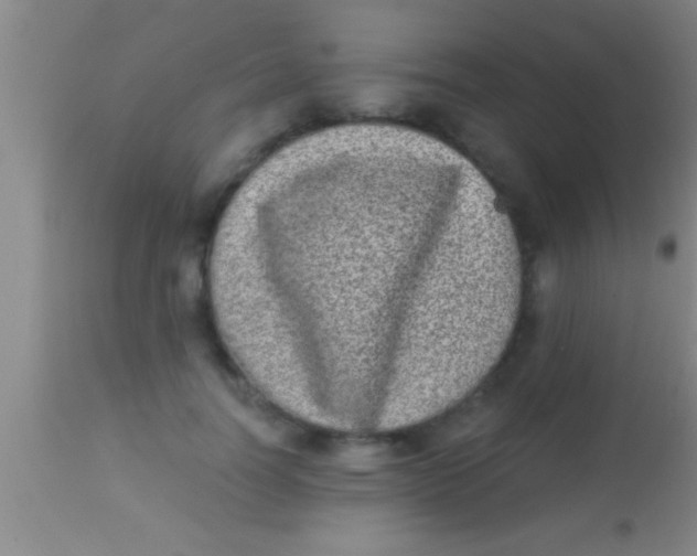 X0000113940746200910161914