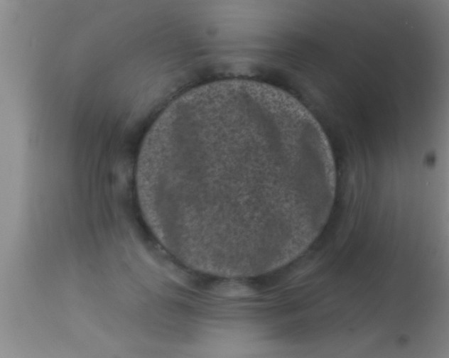X0000113940747200910161914