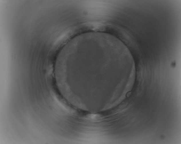 X0000113940748200910161914