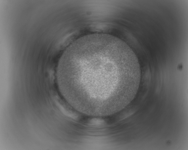 X0000113940749200910161914