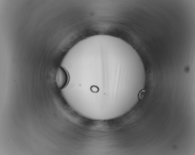 X0000113940750200910161914