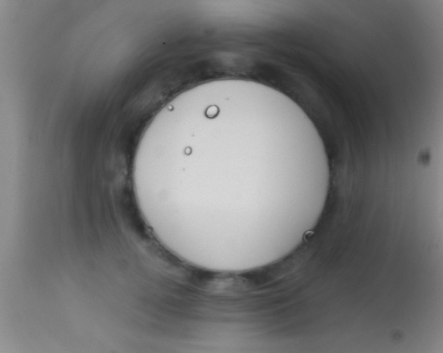 X0000113940752200910161914