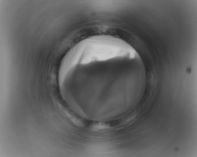 X0000113940754200910161915
