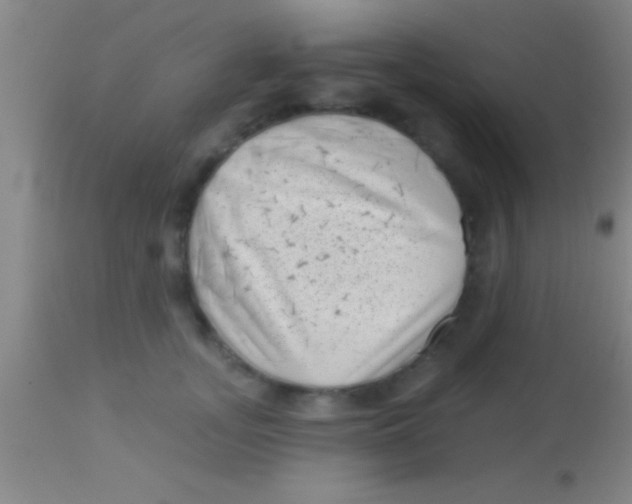 X0000113940755200910161915