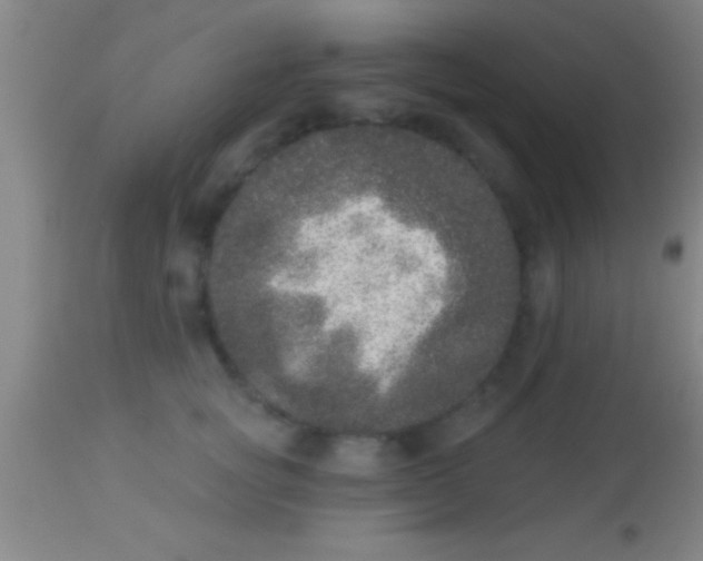 X0000113940757200910161915