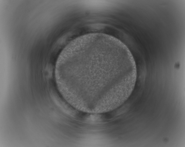 X0000113940758200910161915