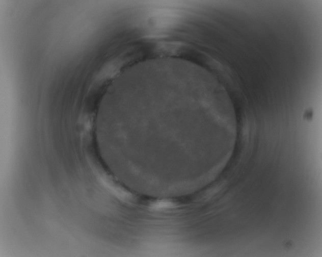 X0000113940759200910161915