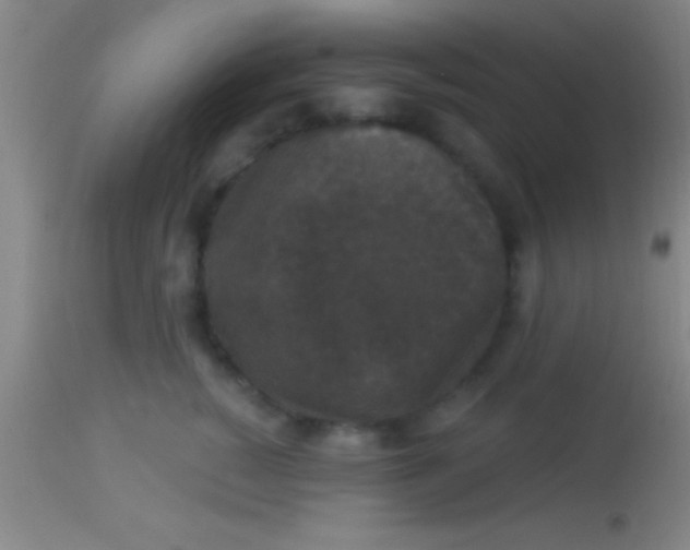 X0000113940760200910161915