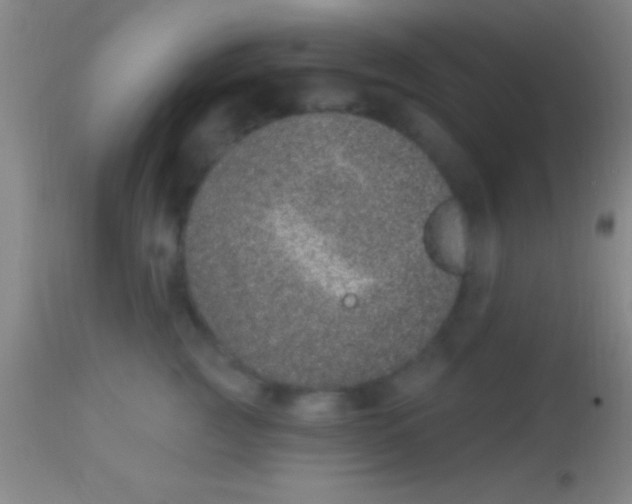 X0000113940761200910161915